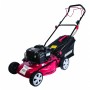 ΑΥΤΟΚΙΝΟΥΜΕΝΗ ΜΗΧΑΝΗ ΓΚΑΖΟΝ ΒΕΝΖΙΝΗΣ 1.7kW 46cm 4σε1 RAIDER RD-GLM05W (B&S 125cc)
