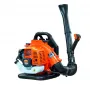 ΦΥΣΗΤΗΡΑΣ 42.7CC, 1250W - DAEWOO
