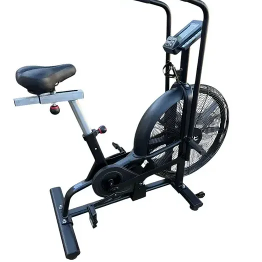 ΑΕΡΟΒΙΟ ΠΟΔΗΛΑΤΟ AIR BIKE