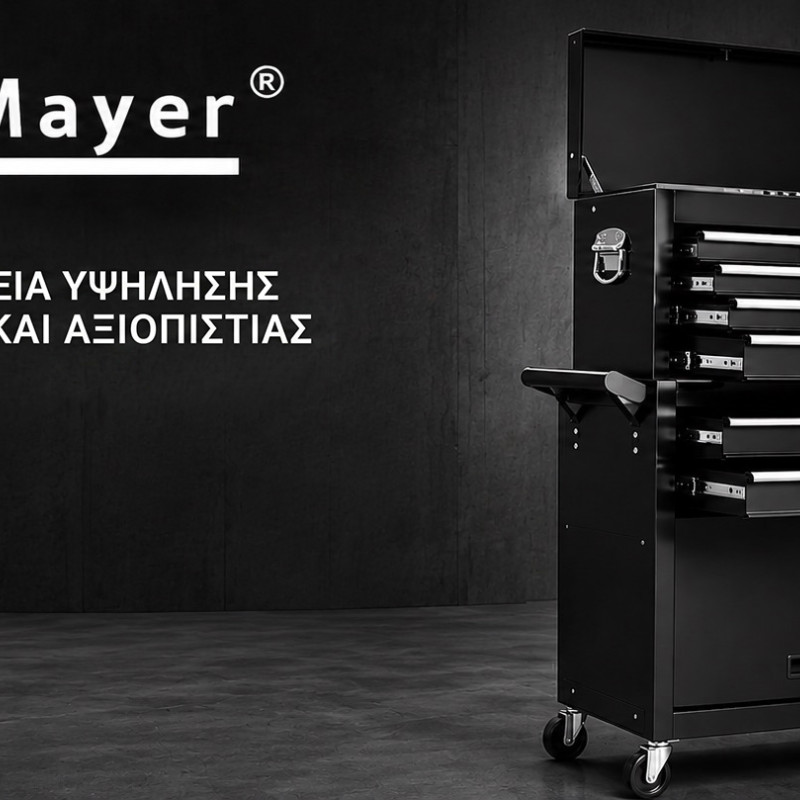 ΜΕΤΑΛΛΙΚΟΣ ΕΡΓΑΛΕΙΟΦΟΡΟΣ STAHLMAYER 2 ΕΝΟΤΗΤΩΝ ΜΕ 8 ΣΥΡΤΑΡΙΑ